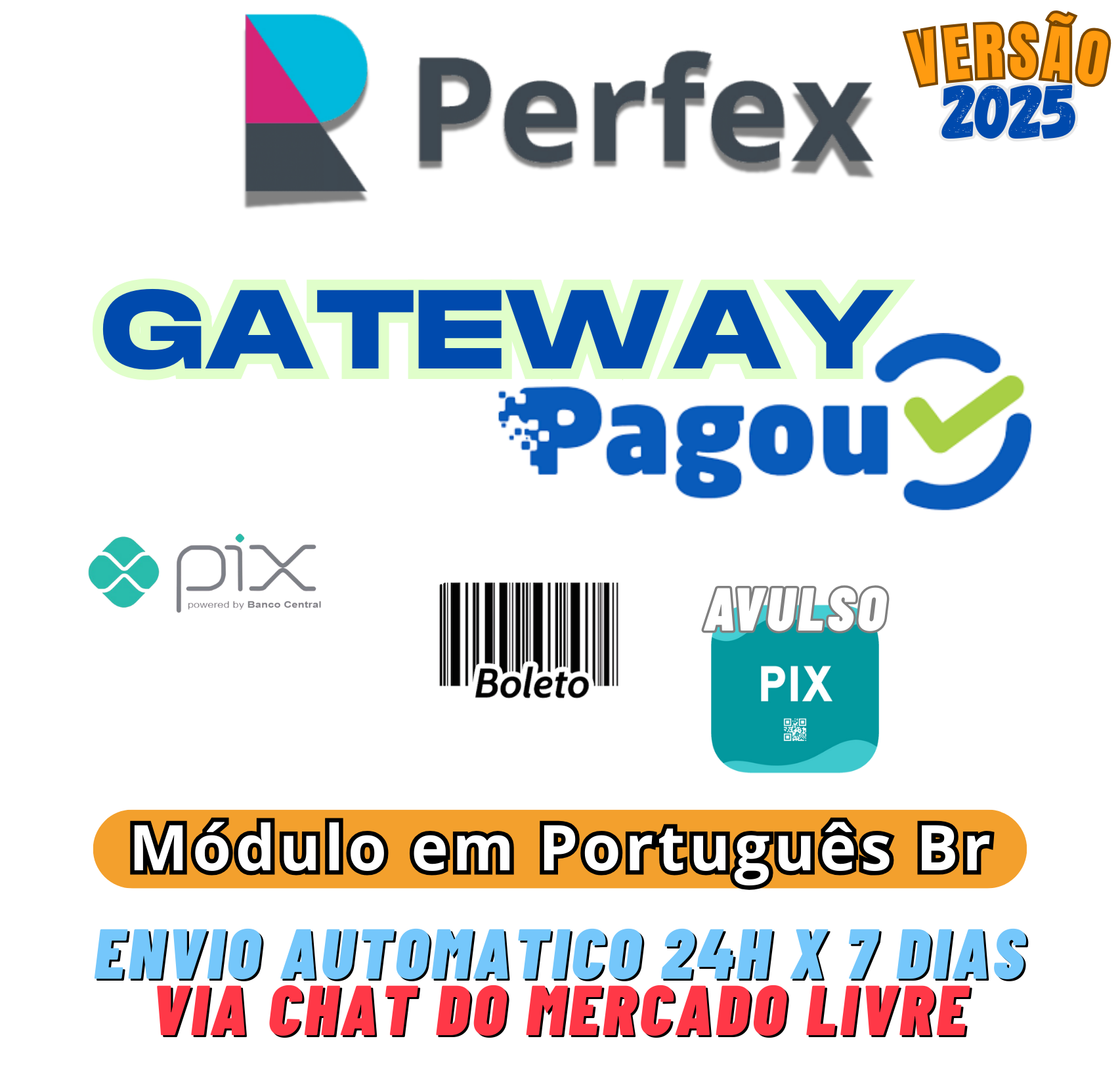 Gateway Pagou.com.br - PIX & Boleto para Perfex CRM